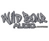 WILD BOAR AUDIO
